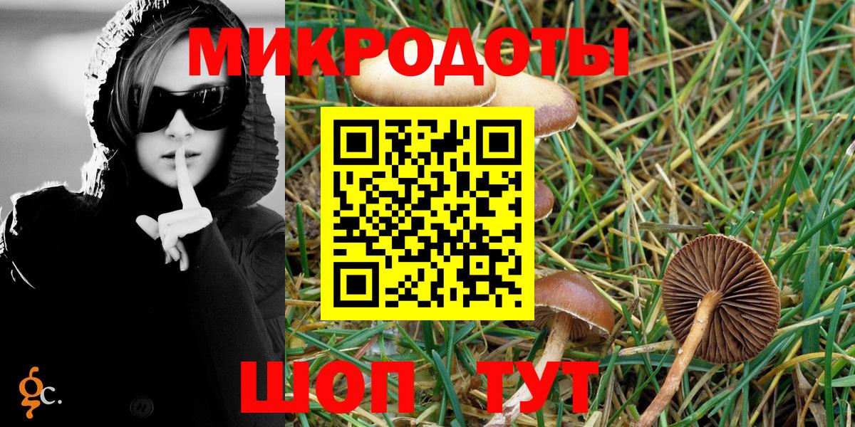 Майкоп  Галлюциногенные грибы GOLDEN TEACHER  Вход с VPN 
